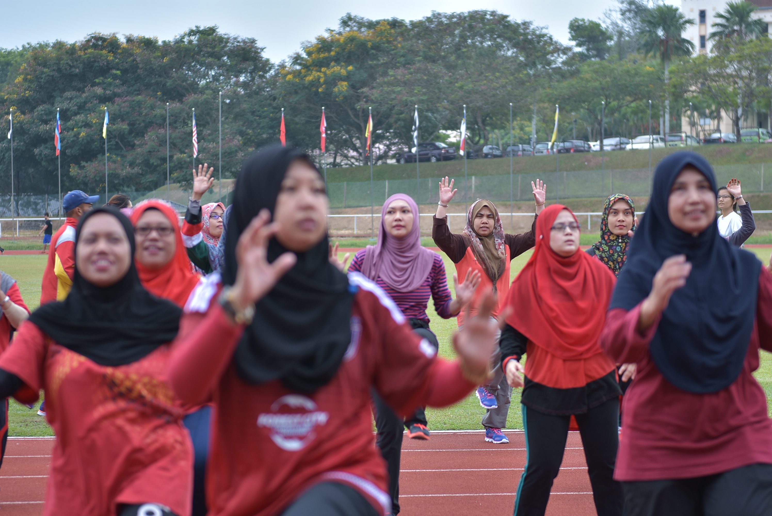UKM 9253